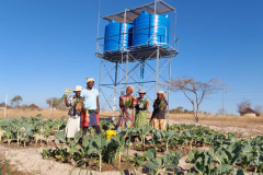 resilient-villages-zimbabwe-1-1